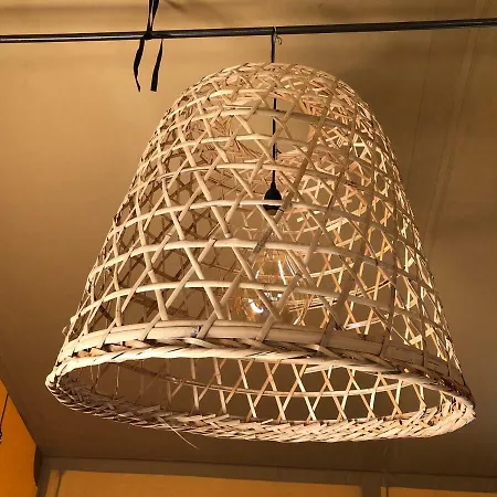 Les Saint Pierre 아그