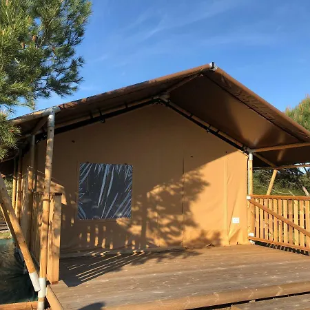 Les Saint Pierre 아그