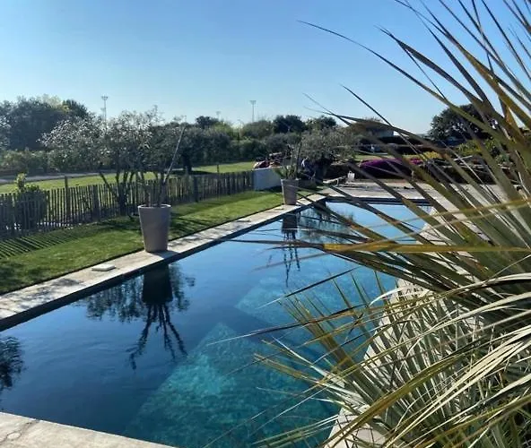 Les Saint Pierre 아그