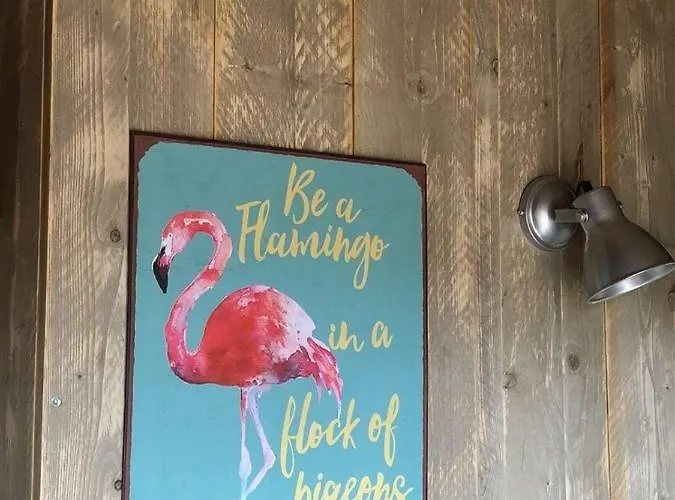 招待所 Les Saint Pierre 3*